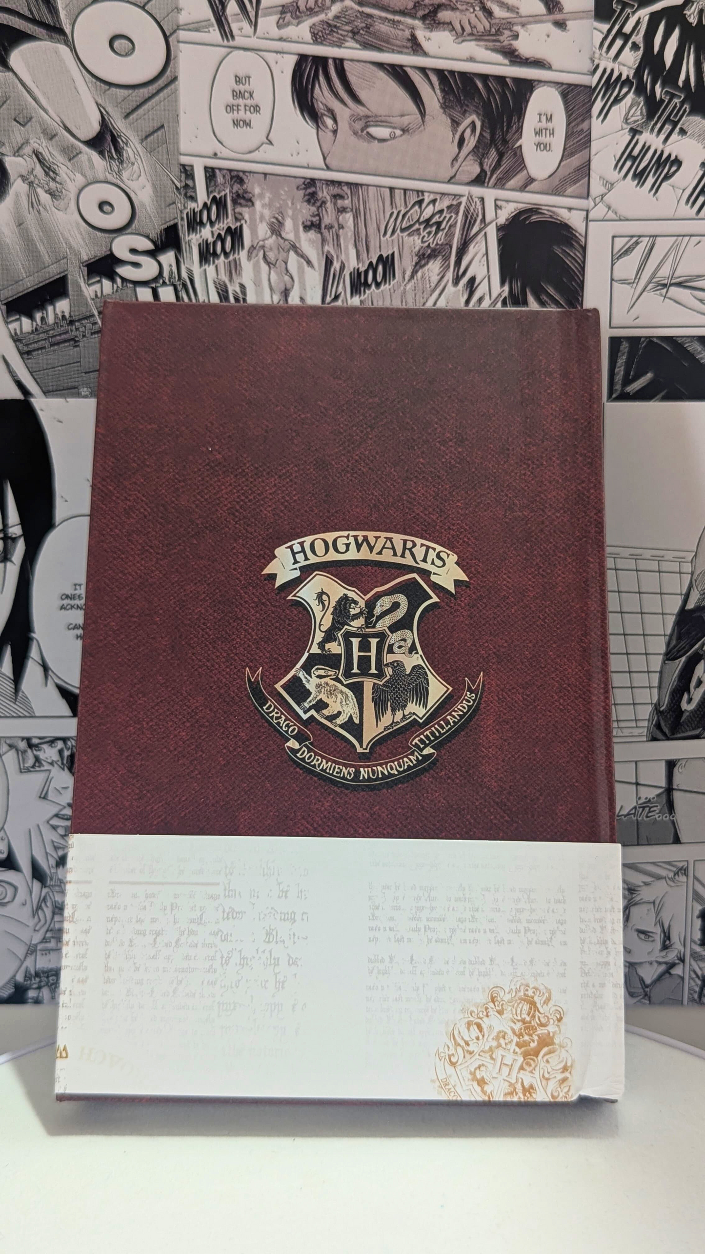 Hermione Granger and Ronald Weasley - Harry Potter - Diaries