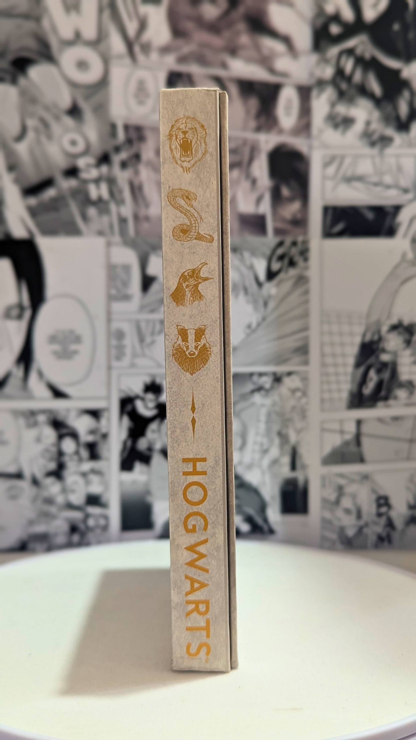 Hogwarts School of Witchcraft & Wizardry Diary - Harry Potter - Diaries