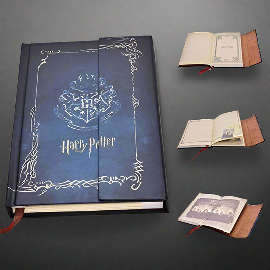 Harry Potter Hogwarts Diary - Harry Potter - Diaries